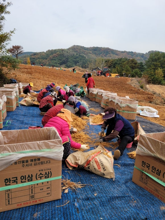 태을당 이미지