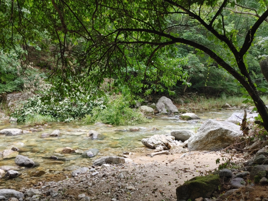 산민박 이미지