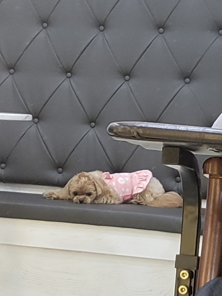 루미에르 붙임머리 홍대점 이미지