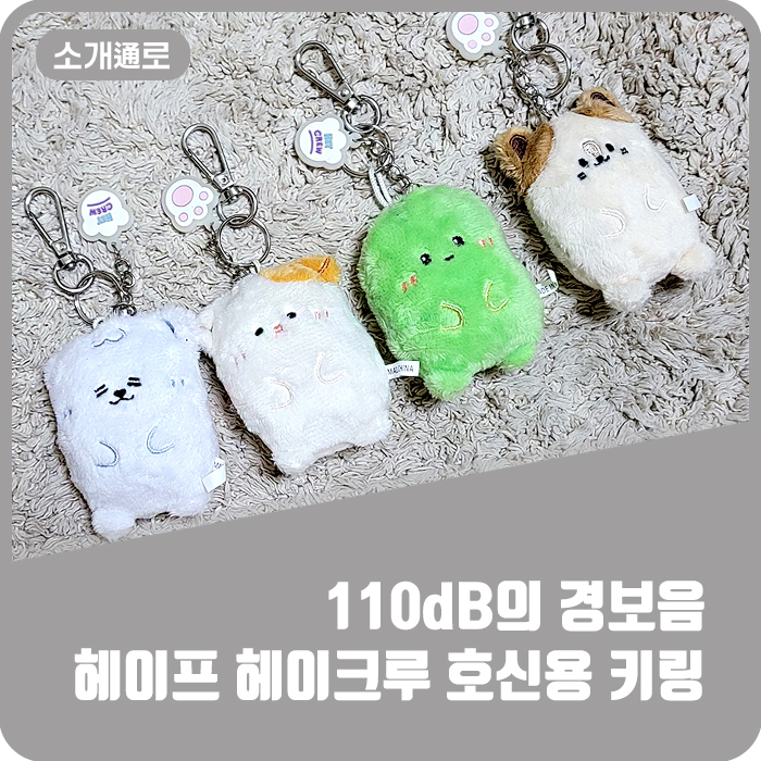 헤이크 이미지