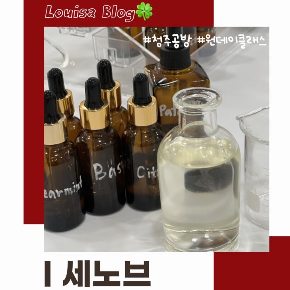 세노브 이미지