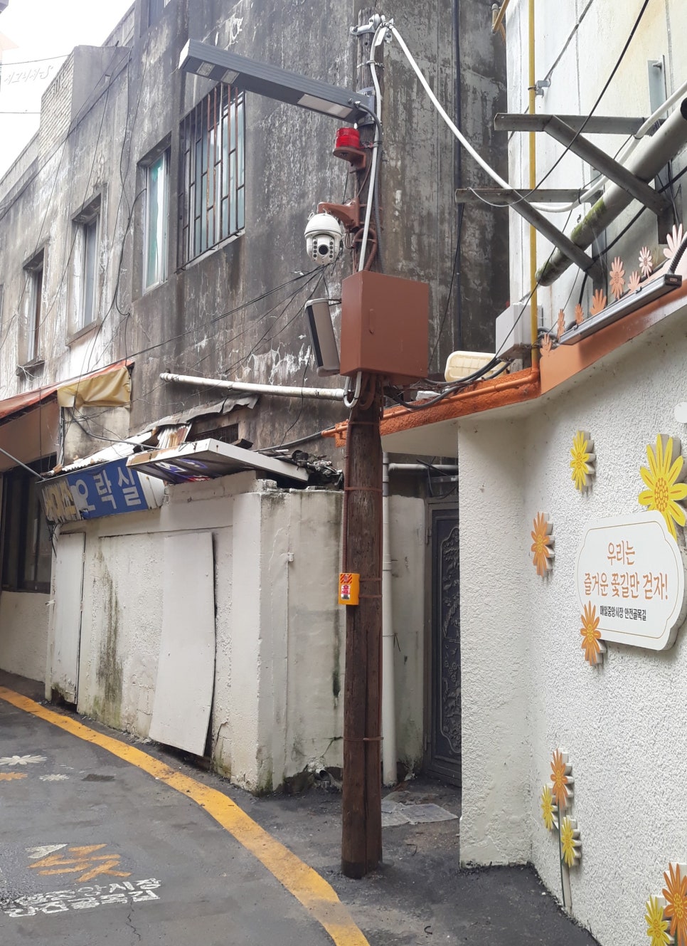 신한장 이미지