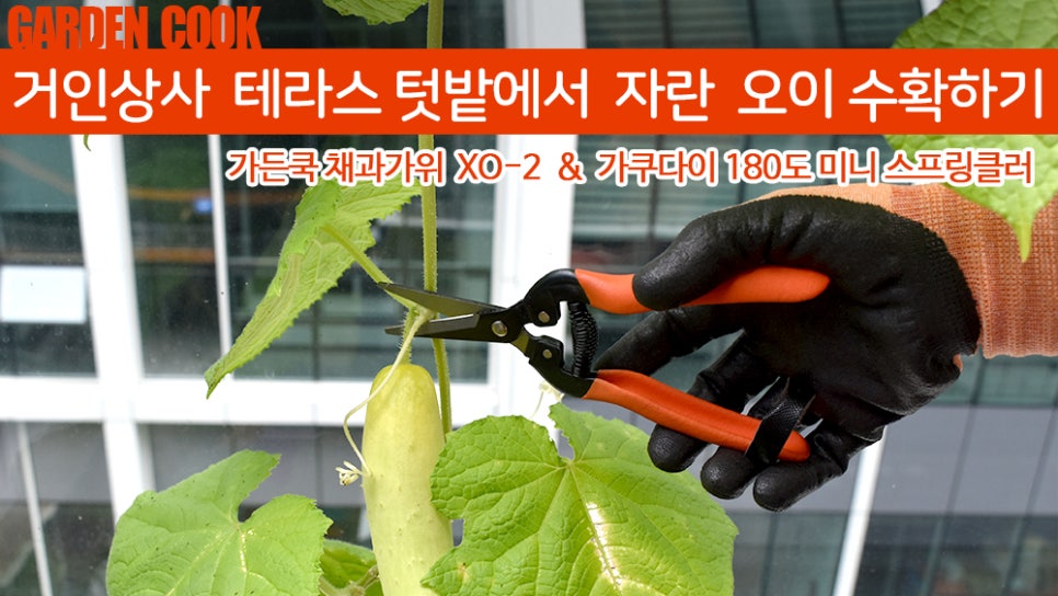 거인상사 이미지