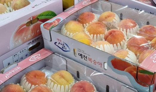 순풍과일나라 이미지