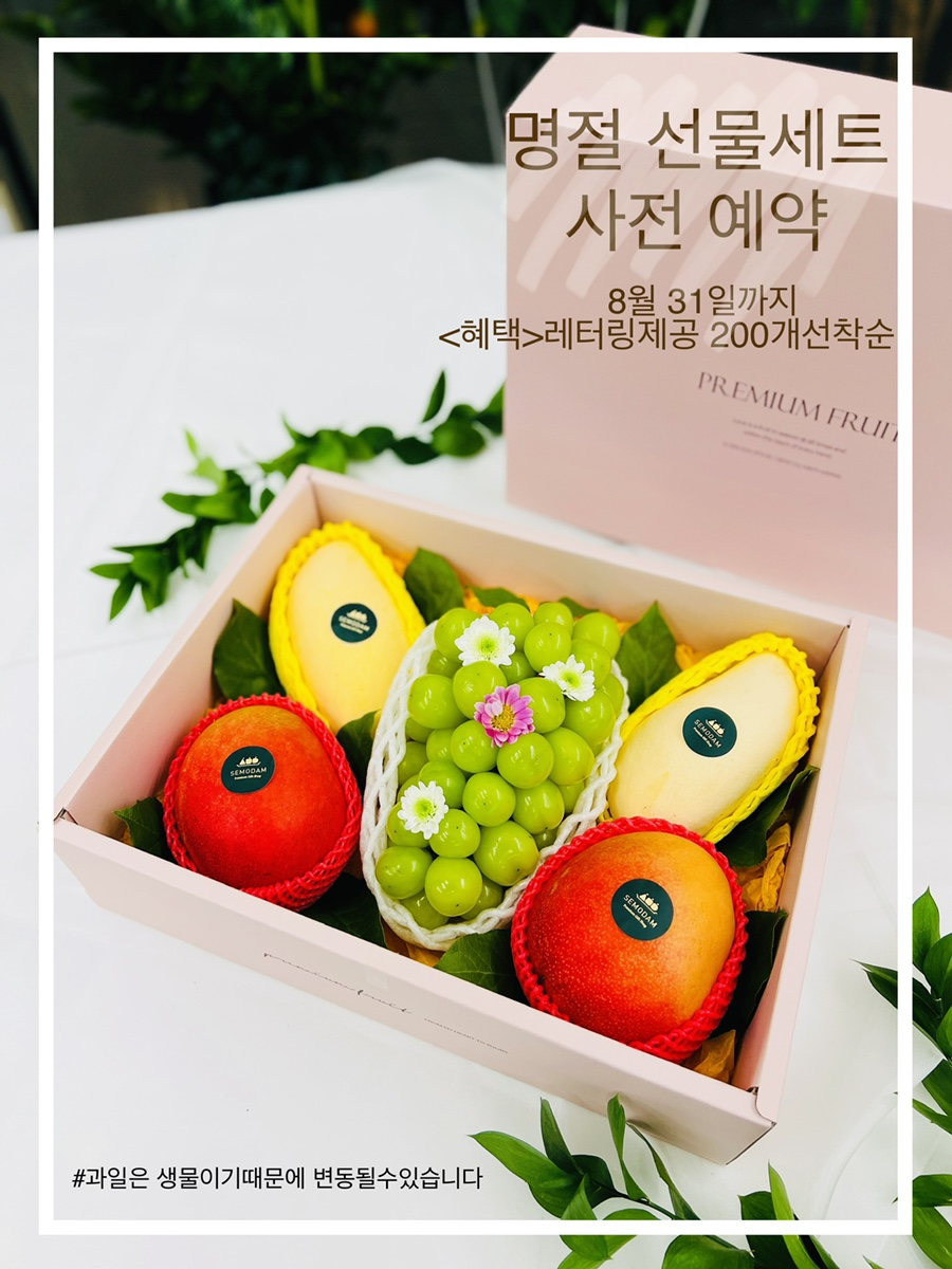 세모담 이미지