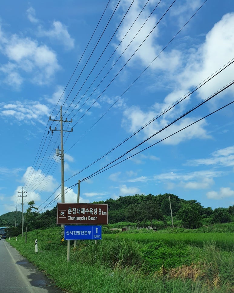 춘장대IC 이미지