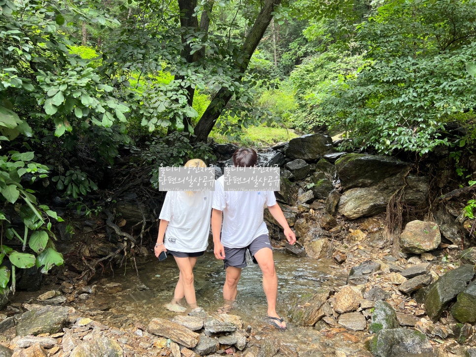 해자연캠핑장 이미지