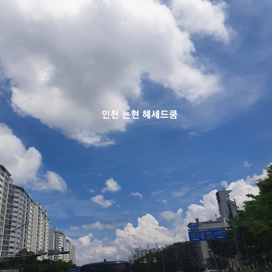 쿰헤어 이미지