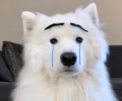 데생그리다 이미지