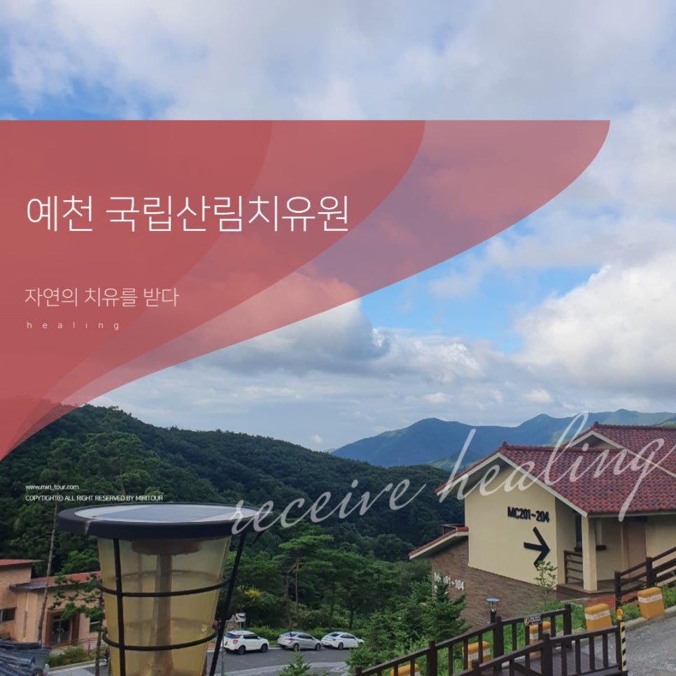 국립산림치유원 문필식당 이미지