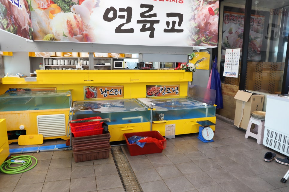 뉴모닝연륙교지점 이미지