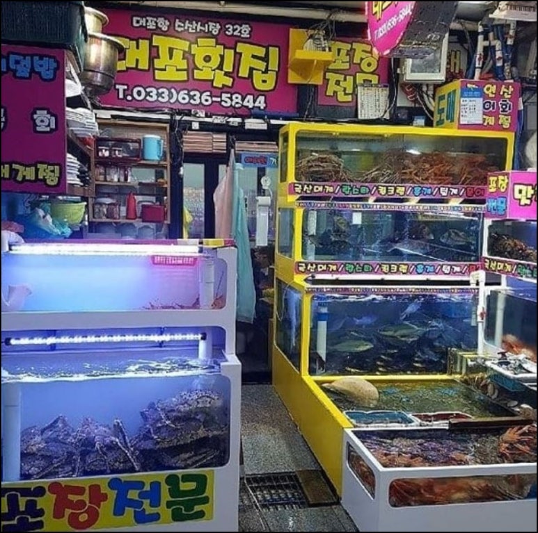 롯데횟집 이미지