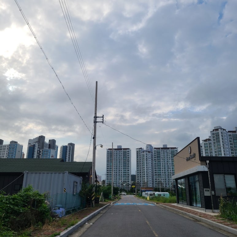 광양오리날개튀김 이미지