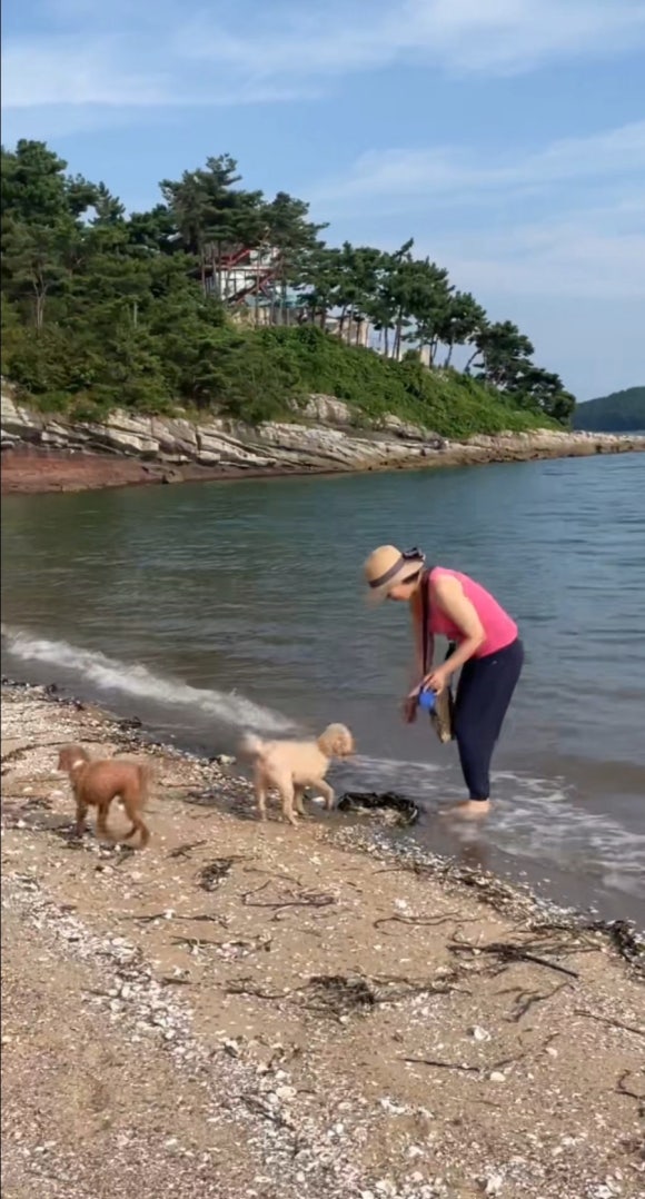 캄힐스위트 이미지