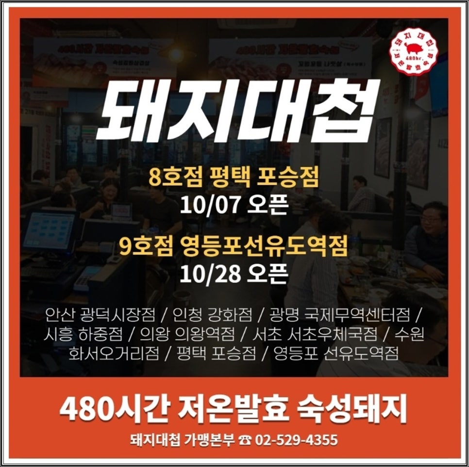 돼지대첩 이미지
