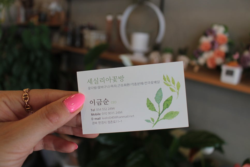 세실리아꽃방 이미지