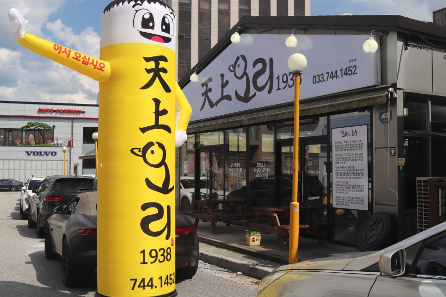천상오리 이미지