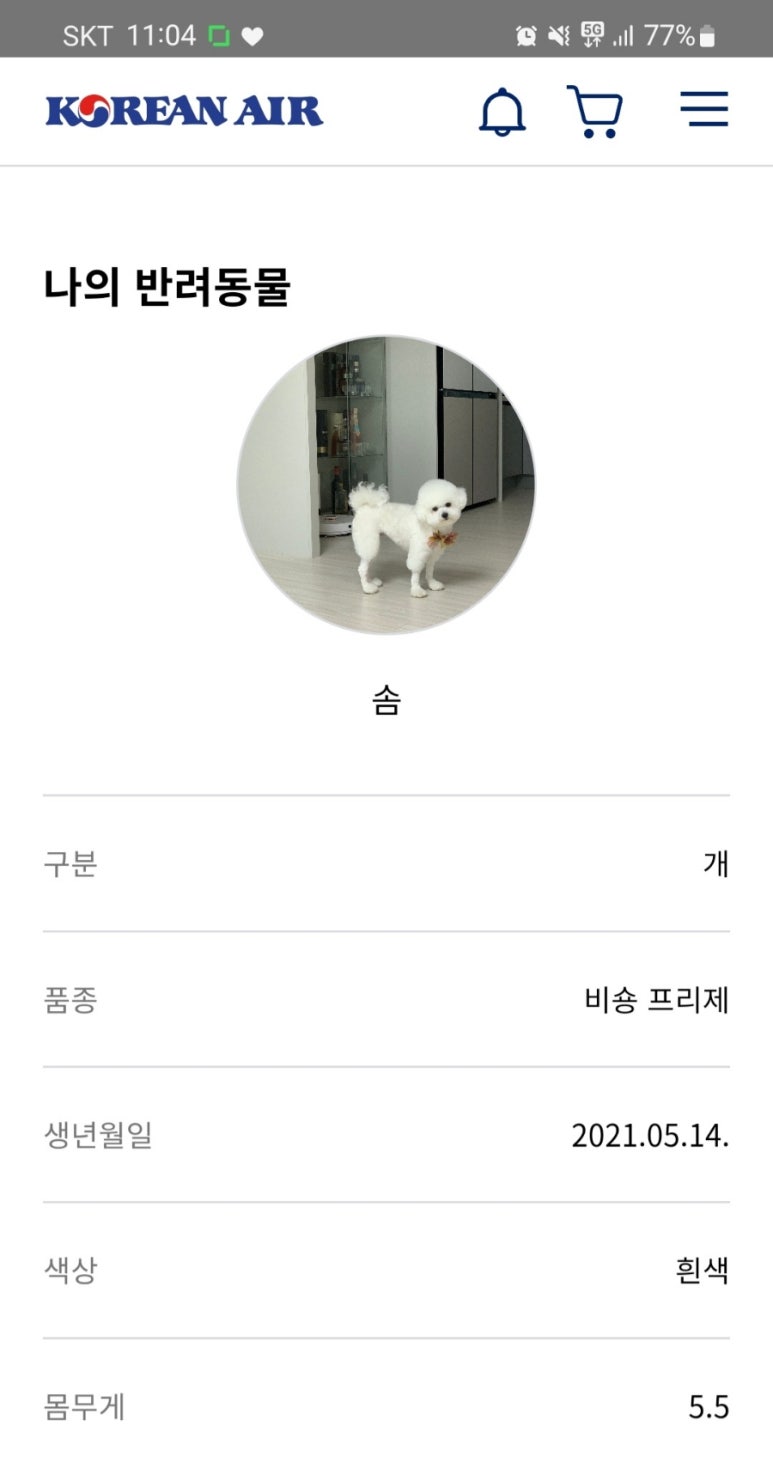 어스케이지 이미지