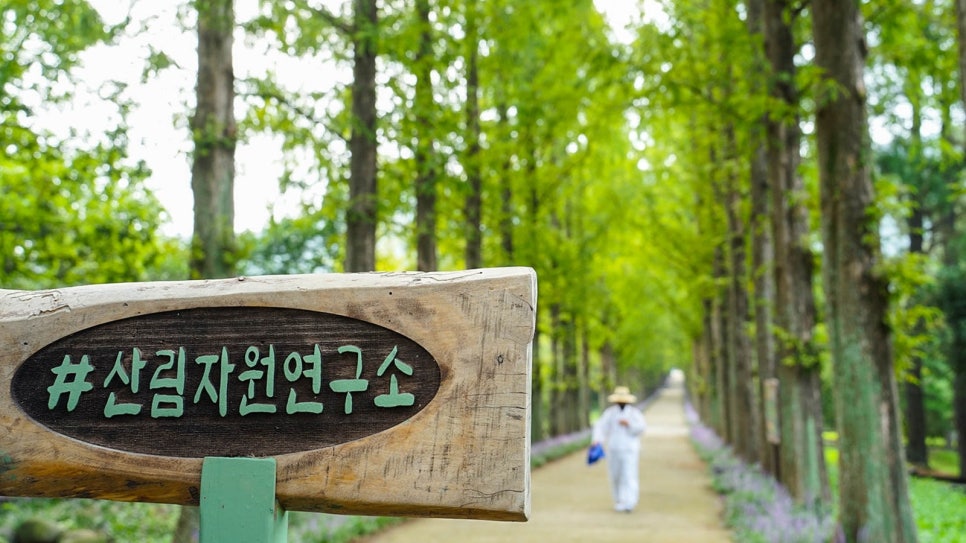 좋은풍경연구소 이미지