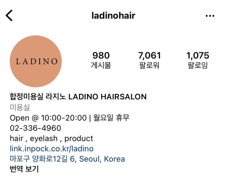LADINO(라지노) 이미지