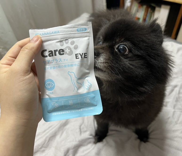 오꼬미 이미지