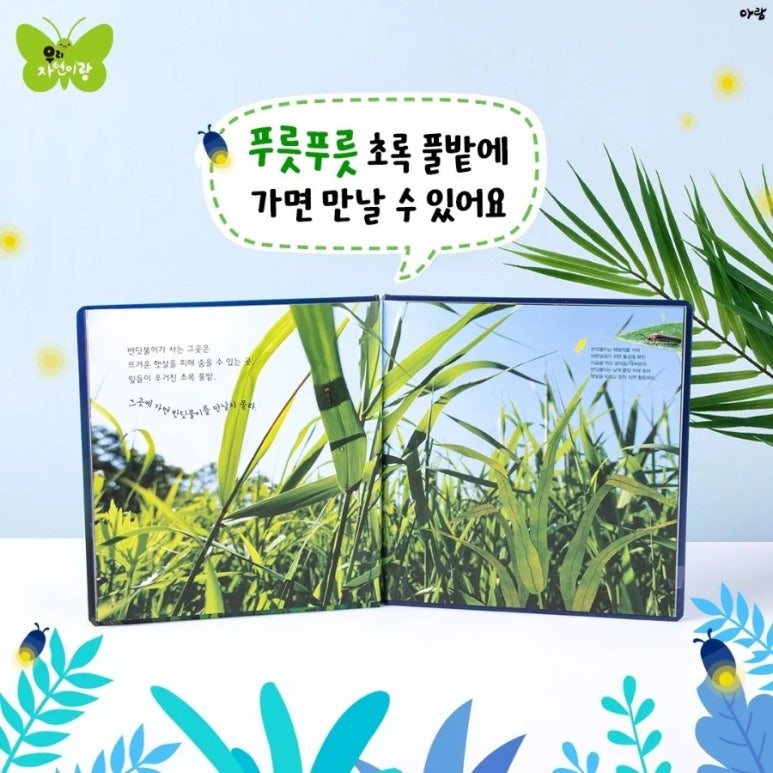 아람유치원 이미지