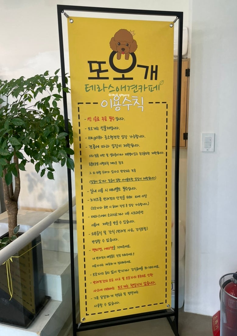 또오개 이미지