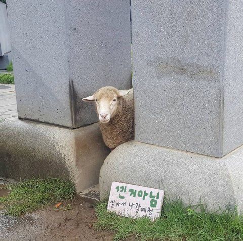 분식쩜 이미지