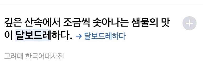 달보드레24 이미지