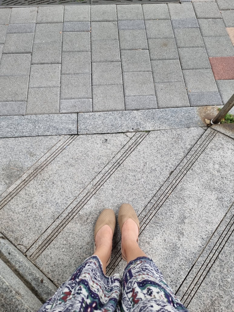 또바기신쭈 이미지