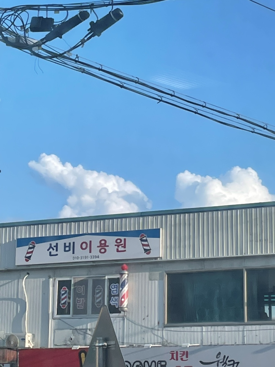 선비이용원 이미지