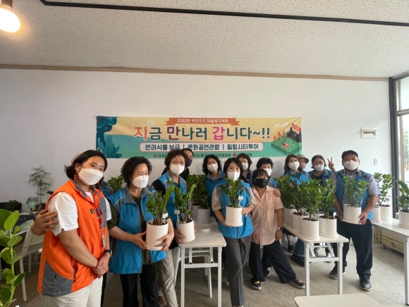 식물정 이미지
