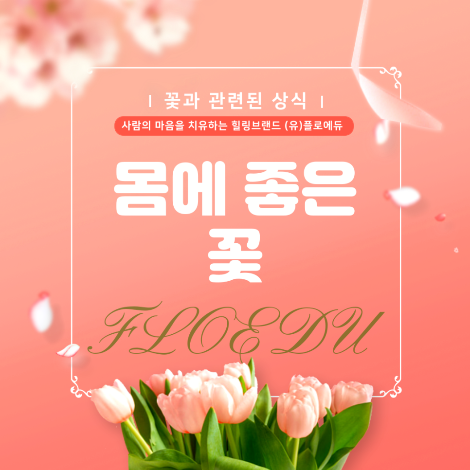 플라워에듀 이미지