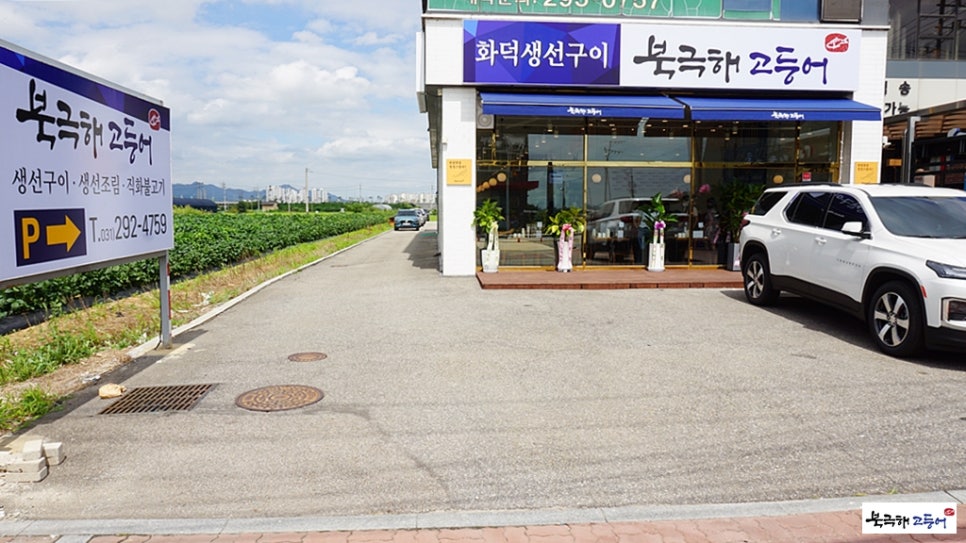 북극해고등어 이미지