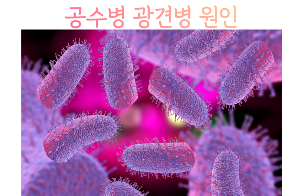  e book 