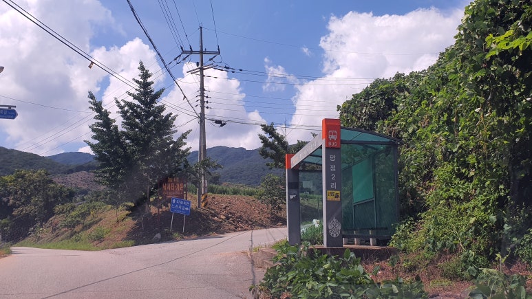한국영상대학교부설유치원 이미지