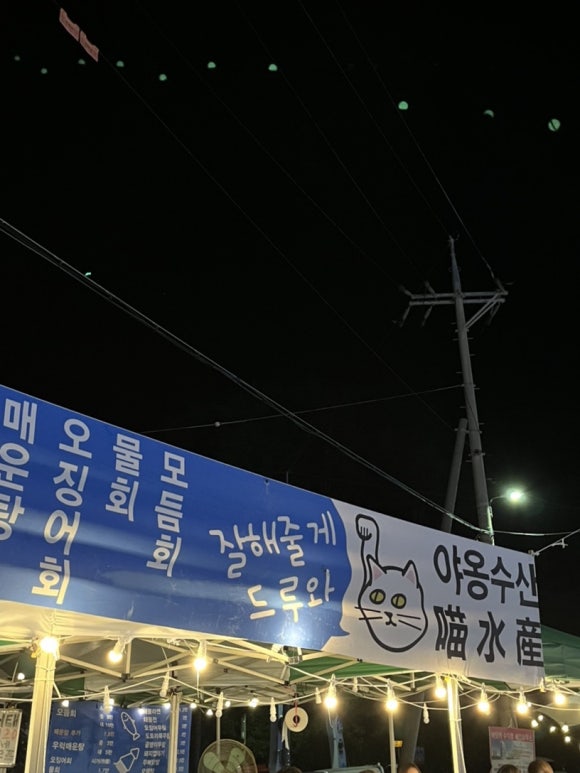 야옹수산 이미지