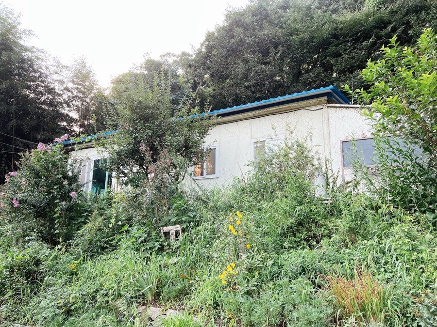 이지도예 이미지