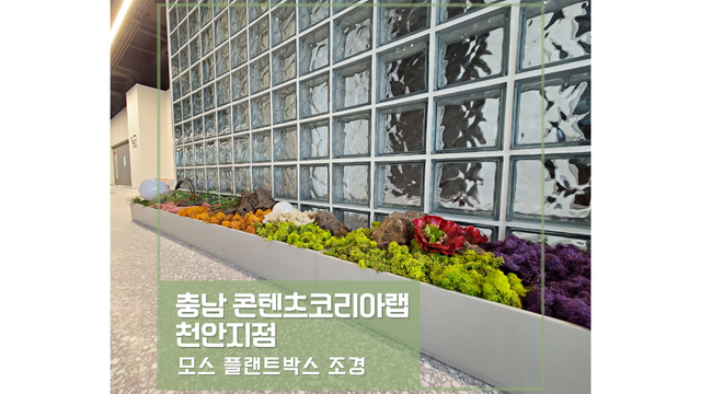 나무콘텐츠랩 이미지