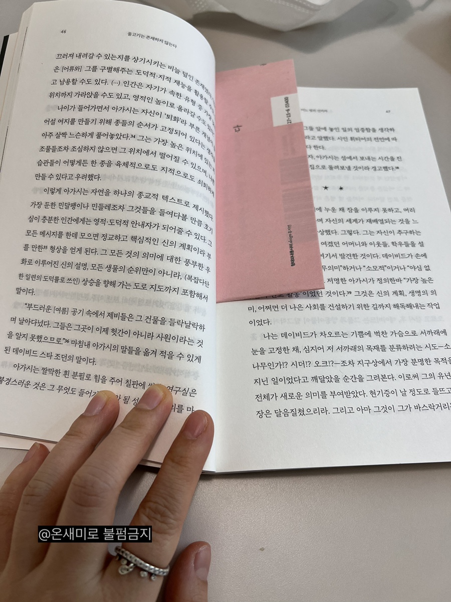 꿀밀 이미지