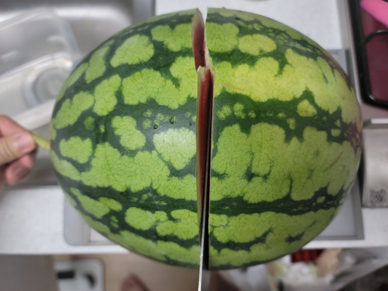 과일꾼 이미지