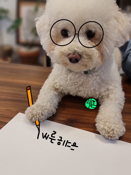 일상다글씨 이미지