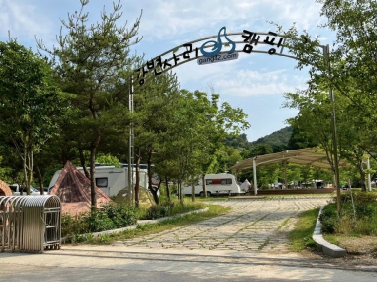 강변사리 이미지