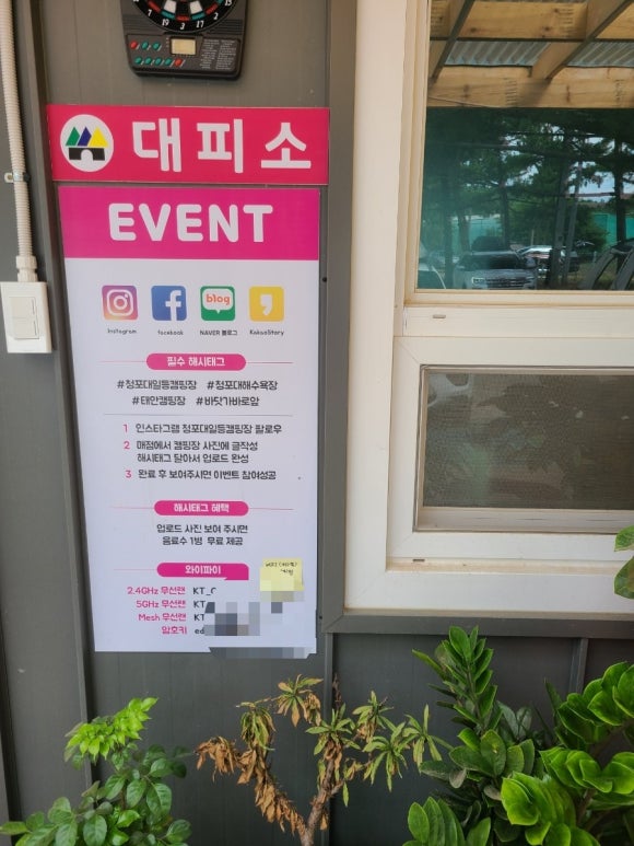 청포대일등캠핑장 이미지