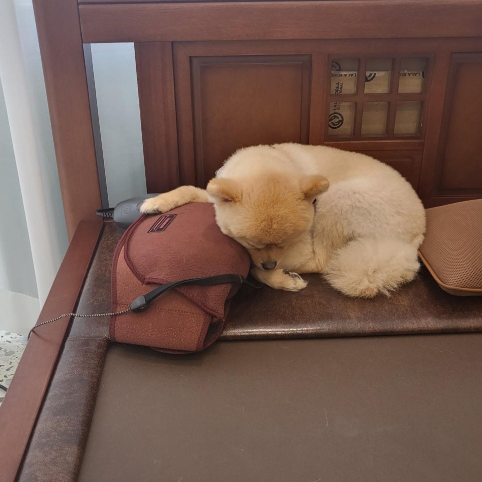 라라샵까치산역점 이미지