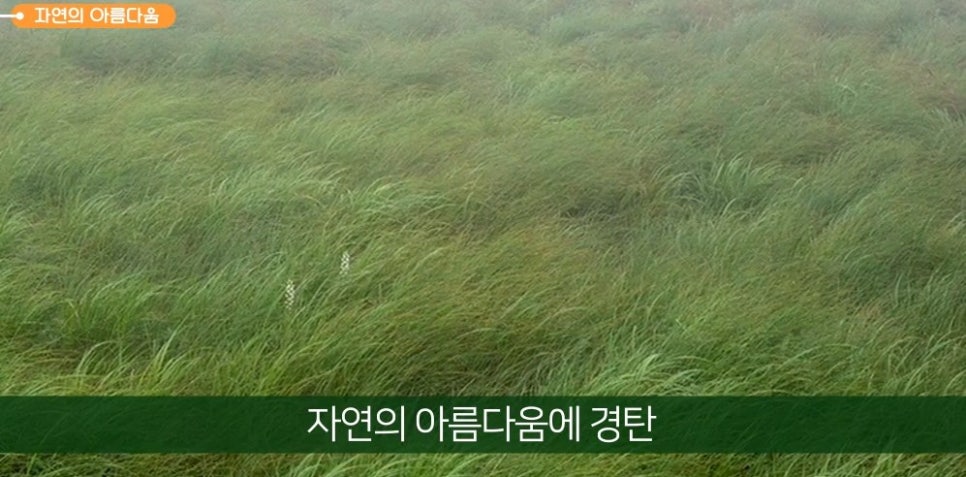 미술관음악홀 이미지