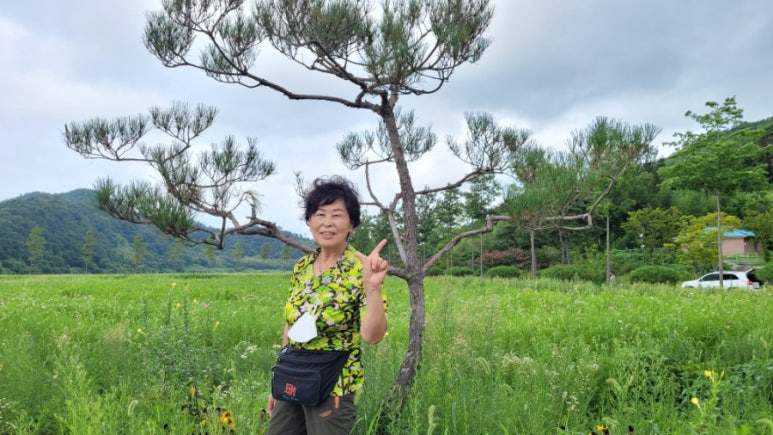 함평나비메주된장 이미지