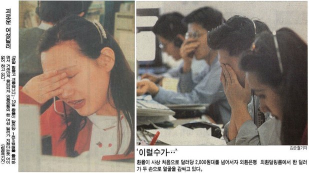 영진어페럴 이미지