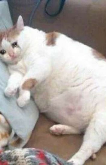 엉클부스 이미지