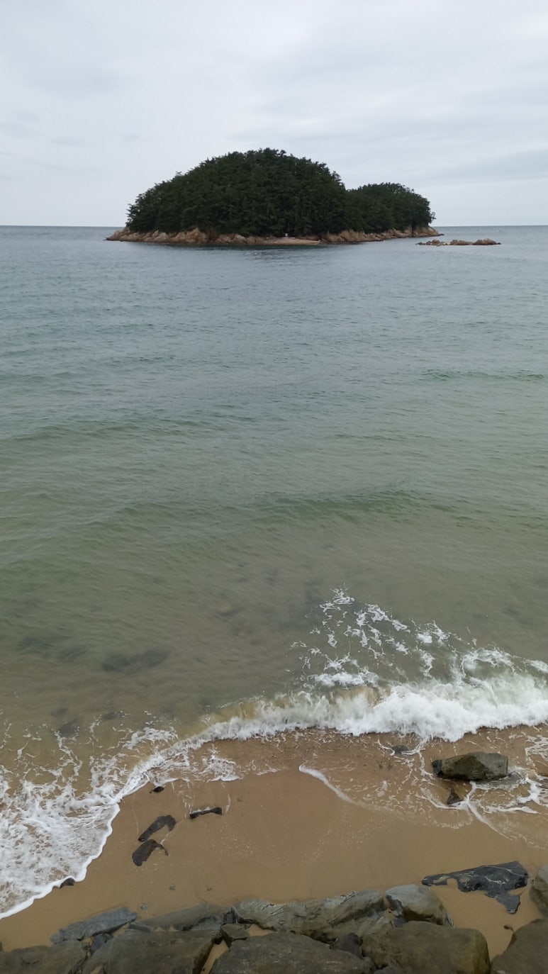천리포차 이미지